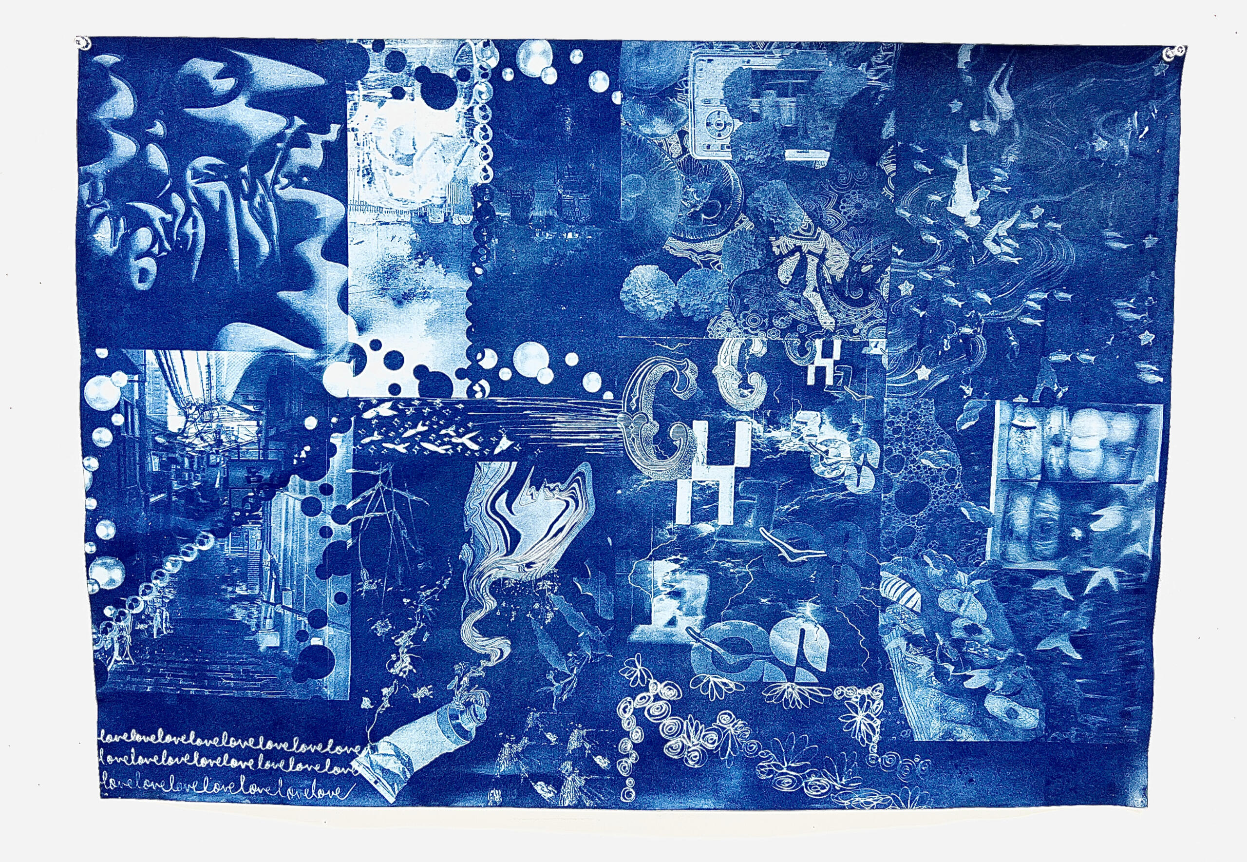 Cyanotype Combine